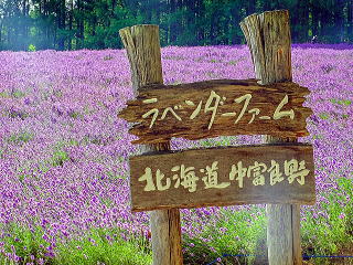 t@[xc̊Ŕ