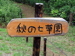 cuːXь̊Ŕ