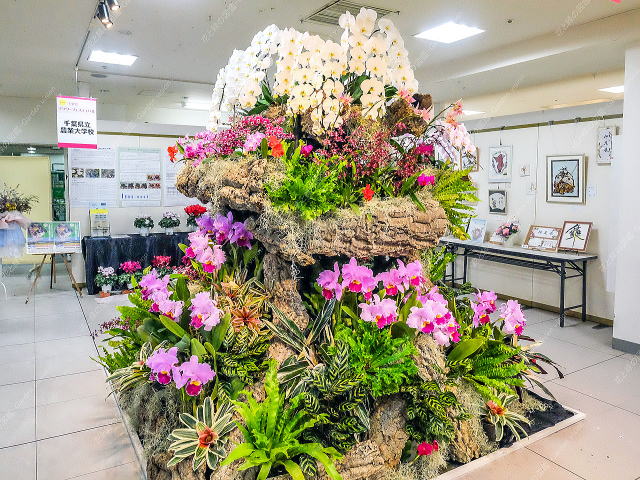 ���C���f�B�X�v���C