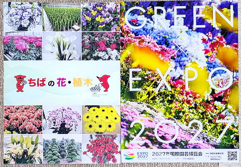 ���΂̉Ԃ�A�؂��Љ����q�ƁA�Ԕ��̃`���V