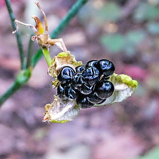 �^�l�������l�q