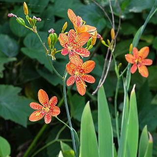 �_���}�q�I�E�M