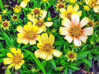 �\�����i�E�T���Z�b�g�o�[�X�g