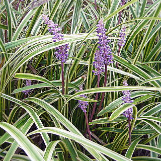 �t�C�����u����