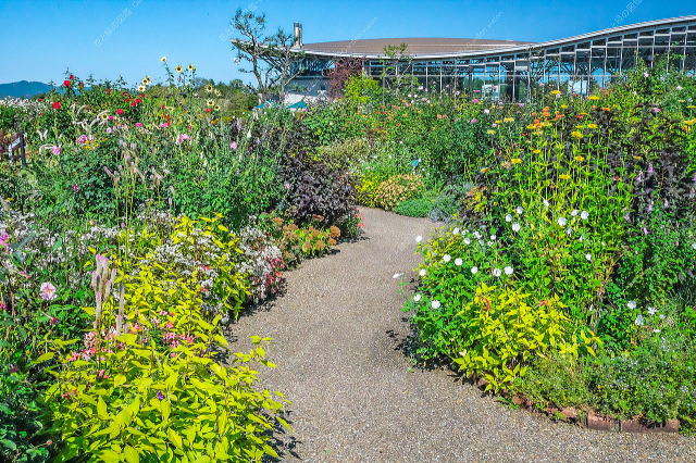 ばらと草花のエリア（秋の花壇）
