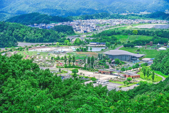 展望台から見たバラ園