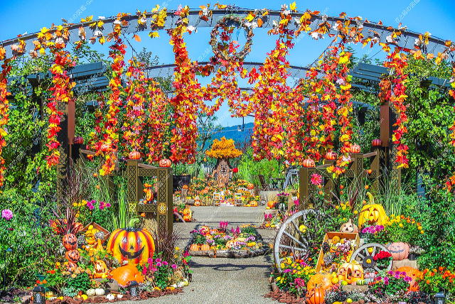 秋のハロウィンディスプレイ