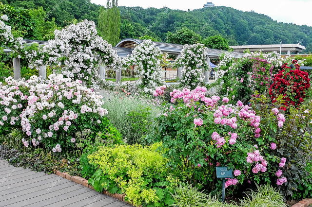 ばらと草花のエリア（ガーランド）