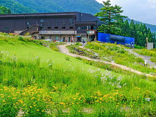 テレキャビンのとおみ駅