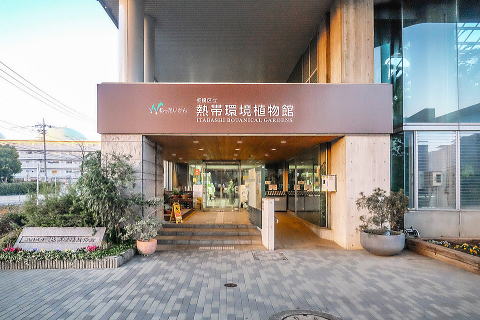 ���旧�M�ъ��A���ق̓���