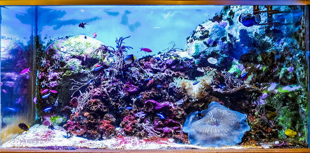 �T���S�ʂ̐���