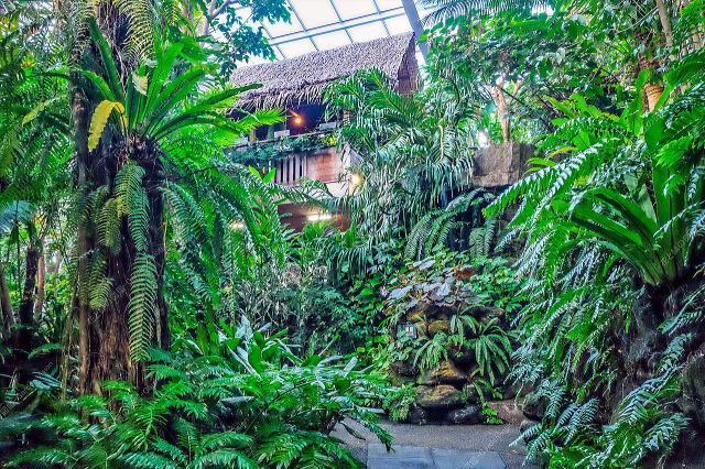 �W���i��