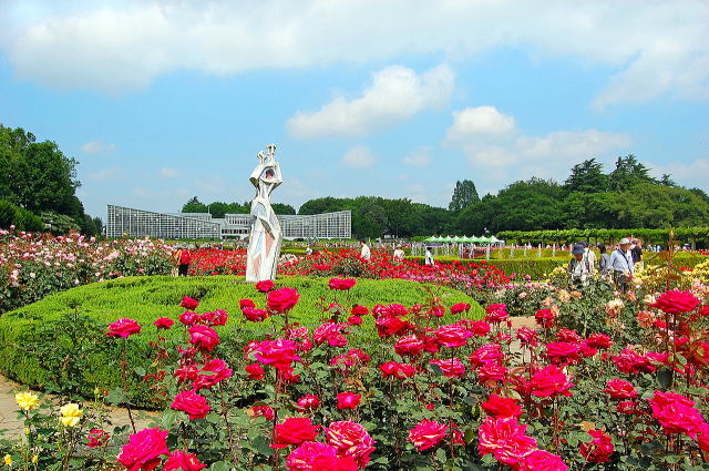 神代植物公園のバラ園