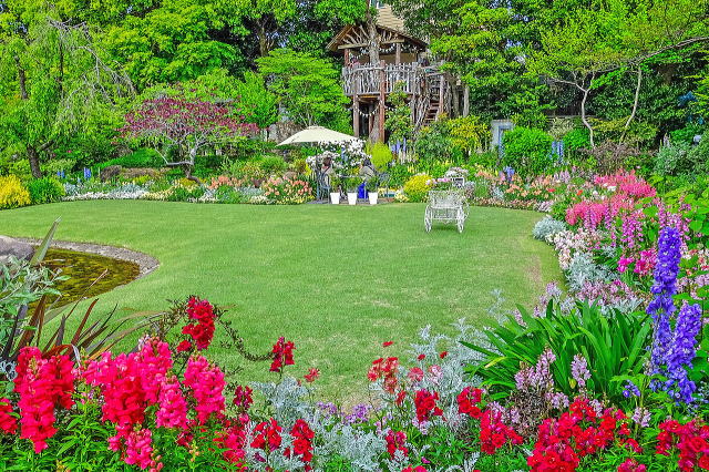 中央の芝生と周囲の植栽