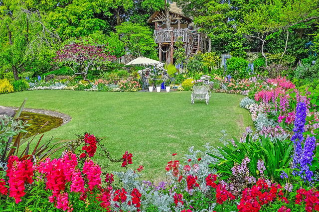 中央の芝生と周囲の植栽