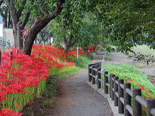 川に沿う遊歩道