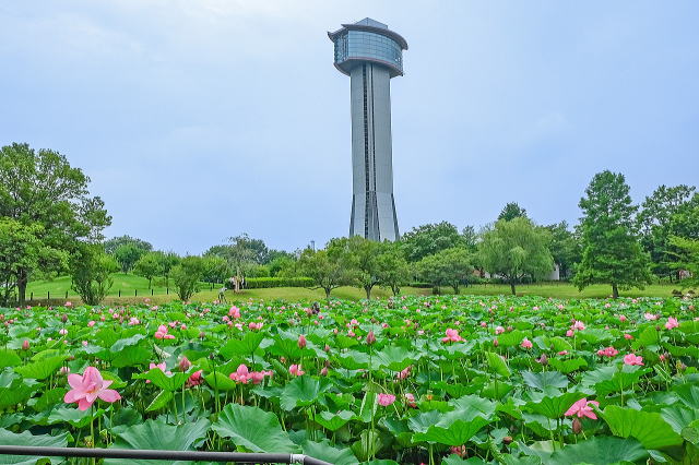 11炢̘@r