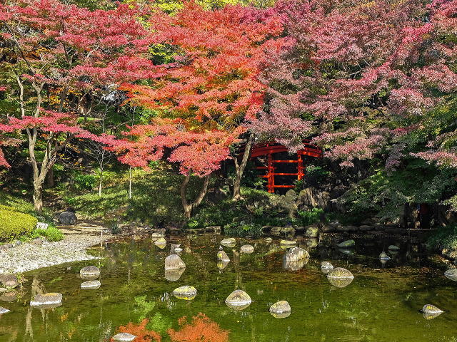 通天橋と紅葉