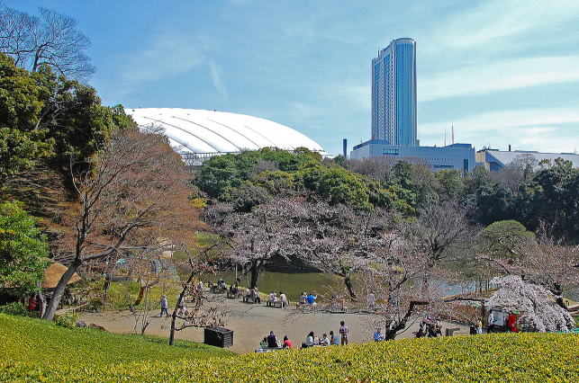築山頂上から眺める景色