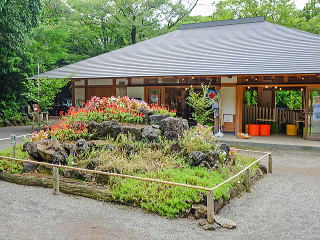 お休み処「桜」