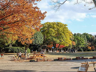 芝生広場