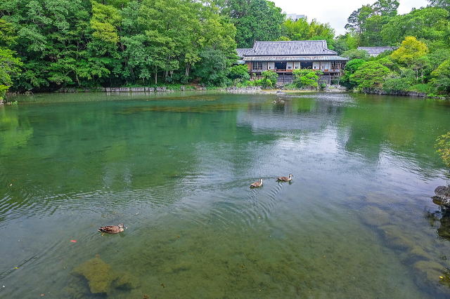 小浜池