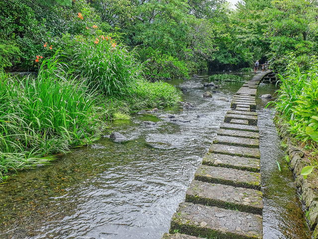 源兵衛川上流付近