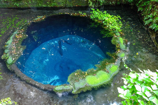 第二展望台から見る湧水