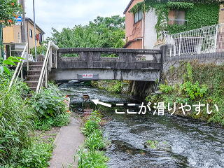 橋の下をくぐる
