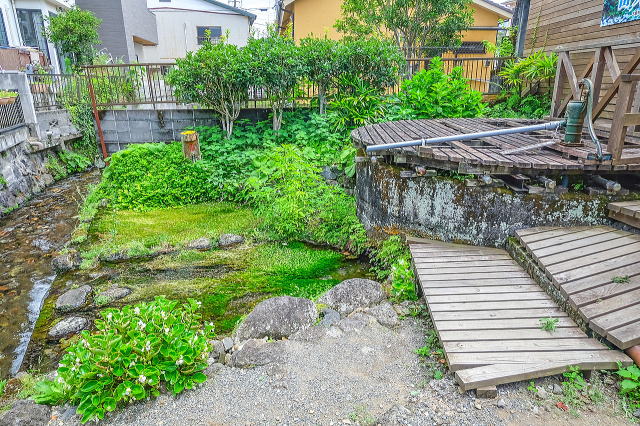 雷井戸