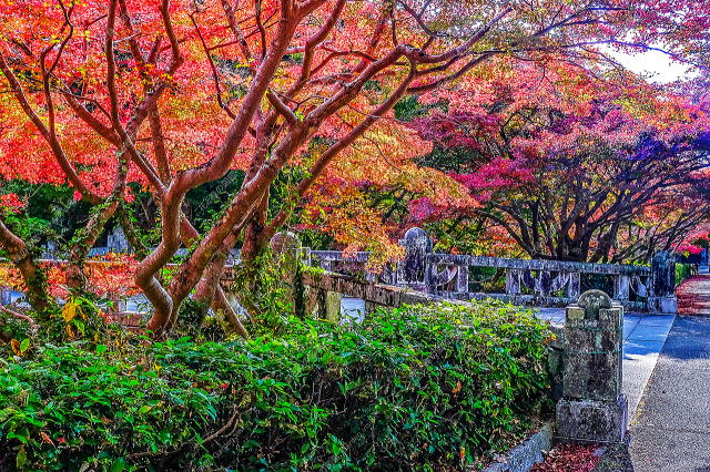 石橋
