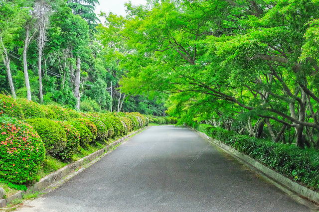 門から邸宅に続く導入路（サツキ）