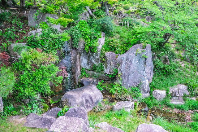 滝
