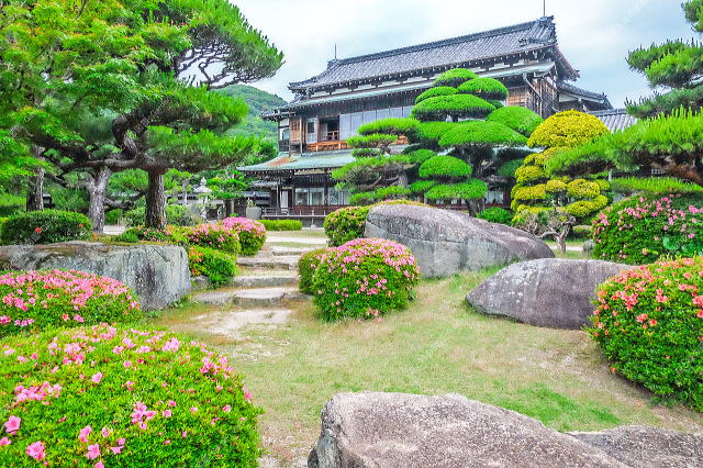 本館周辺の庭（初夏）