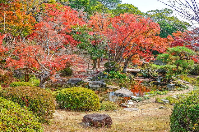 庭園西側の池