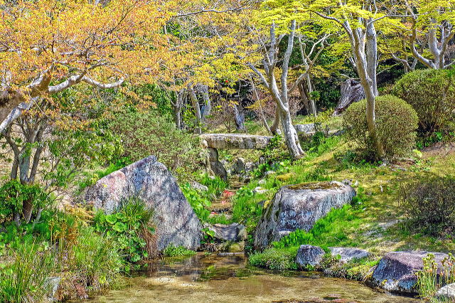 庭園西側の流れ