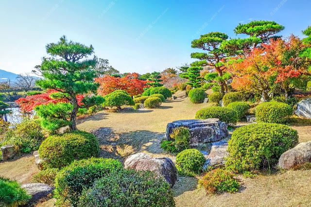 本館周辺の庭（紅葉）