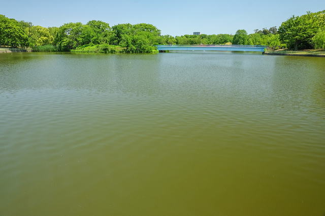 大池
