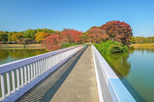 展望島と一文字橋