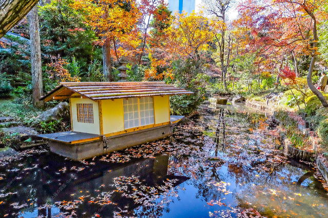 ���Ô��p�ق̒뉀���i