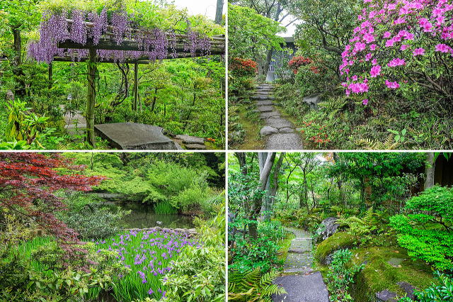 �G�߂̉Ԃ��낢��