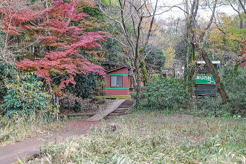 ありのみコース（アスレチック）入口