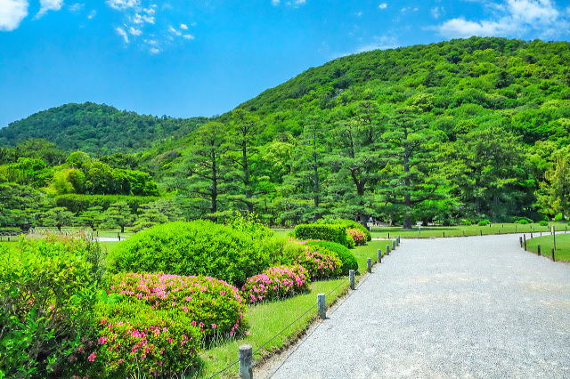 紫雲山