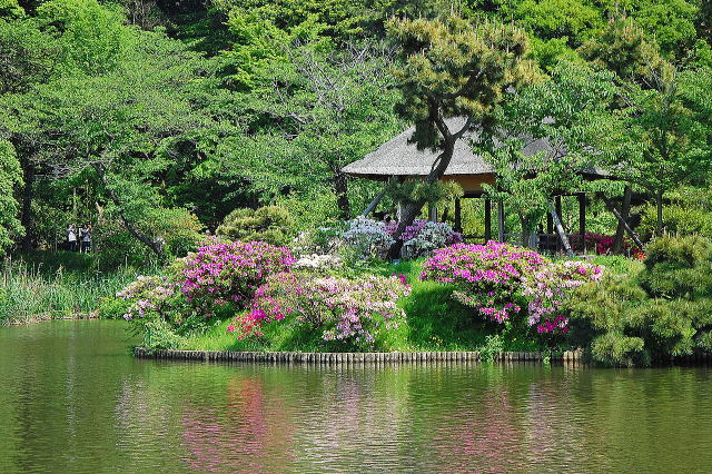 大池に浮かぶ函花亭