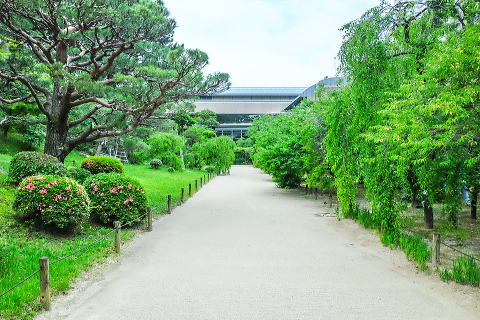 調馬場