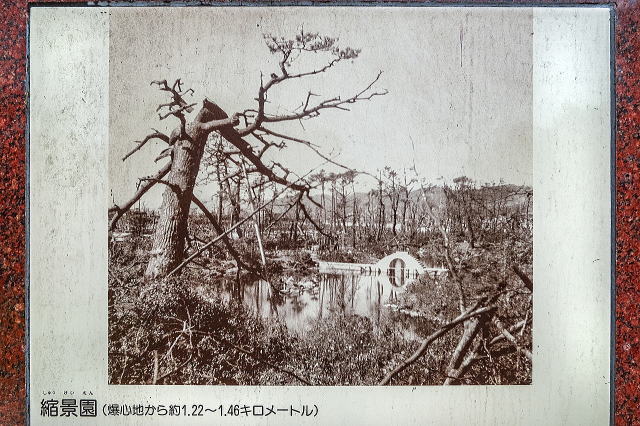 原爆の被害の写真