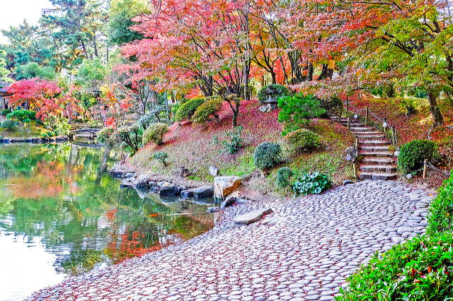 夕照庵周辺の紅葉