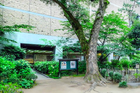 広島県立美術館出入口