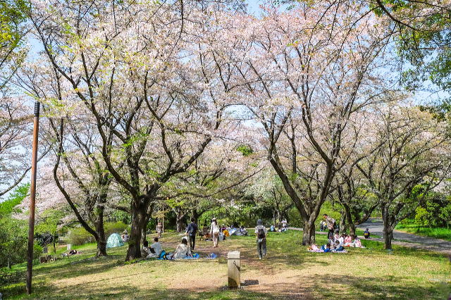 ̉