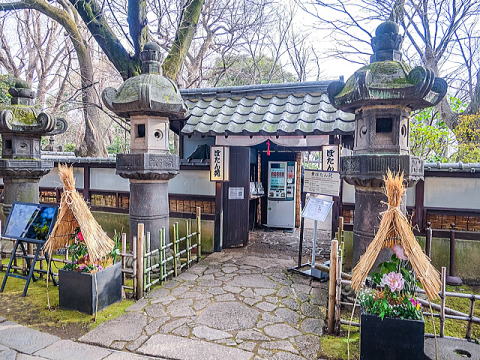 �����ƌ�����